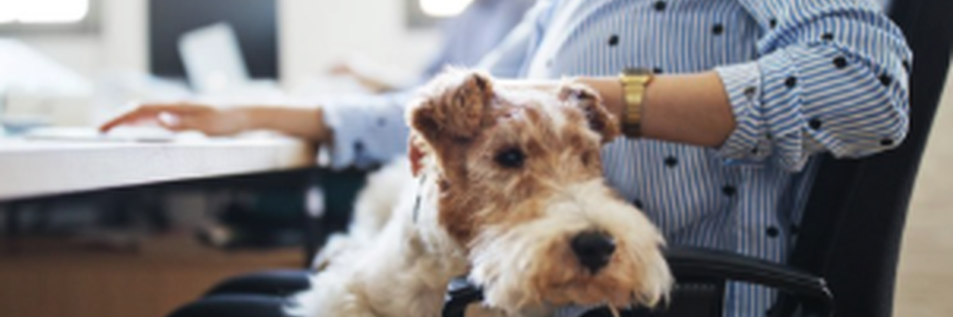 resized_image_27 (1)